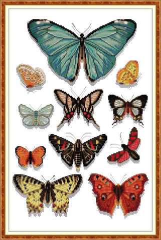 PDF Pattern - Butterfly Specimen