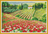 Stamped Cross Stitch Kits - Flower Field