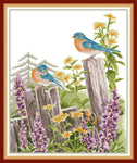 Stamped Cross Stitch Kits - Birds (Two Robins) 15.75×18.5" (14ct)