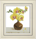 Stamped Cross Stitch Kits - Phalaenopsis 19×22"