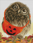 Stamped Cross Stitch Kits - Owl in Halloween